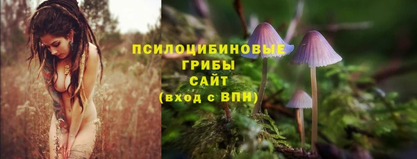 крисы Козельск