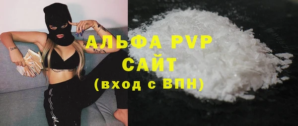 крисы Козельск