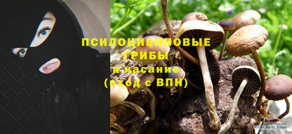 мяу мяу кристалл Кодинск