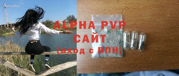 крисы Козельск