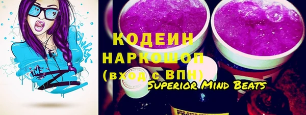 крисы Козельск