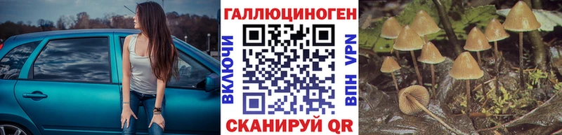 Галлюциногенные грибы ЛСД  kraken   Назрань 