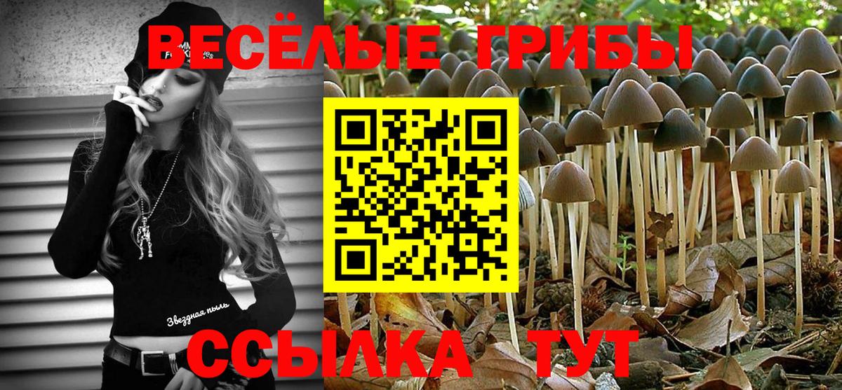 Галлюциногенные грибы мицелий  Галлюциногенные грибы прущие грибы  Назрань  Вход с VPN 